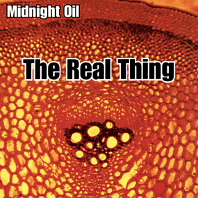 The Real Thing Midnight Oil